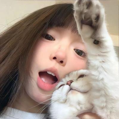 春情妃子